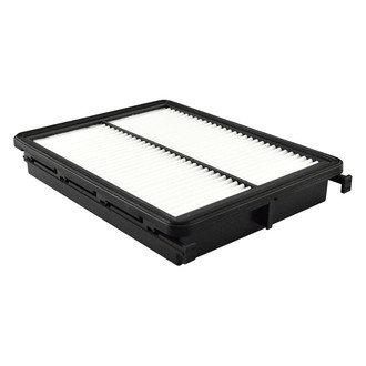 Baldwin Filters® - Radial Seal Air Filter