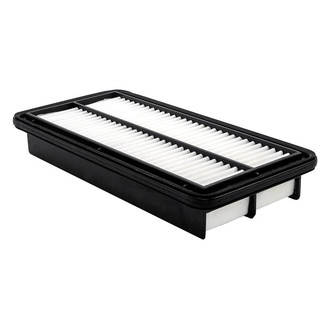 Baldwin Filters® - Channel Flow Primary Air Filter Element