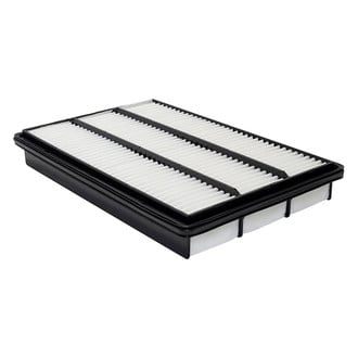Baldwin Filters® - Radial Seal Air Filter