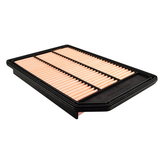 Baldwin Filters® - Air Filter Element