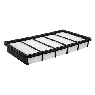 Baldwin Filters® - Channel Flow Primary Air Filter Element