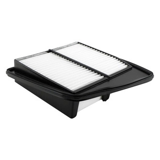 Baldwin Filters® - Radial Seal Air Filter