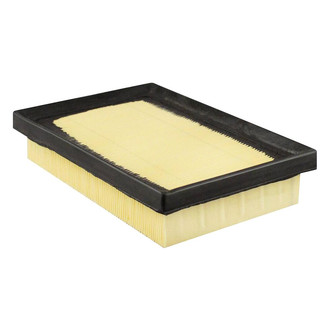 Baldwin Filters® - Radial Seal Air Filter