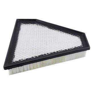 Baldwin Filters® - Radial Seal Air Filter