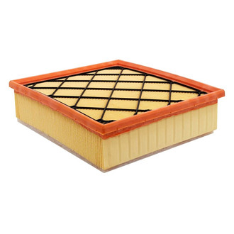Baldwin Filters® - Channel Flow Primary Air Filter Element