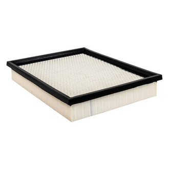 Baldwin Filters® - Channel Flow Primary Air Filter Element