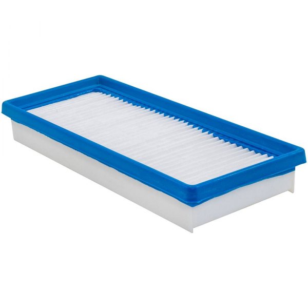 Baldwin Filters® - Radial Seal Air Filter