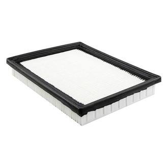 Baldwin Filters® - Radial Seal Air Filter