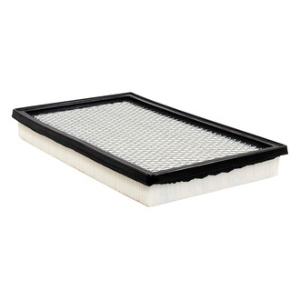 Baldwin Filters® - Radial Seal Air Filter