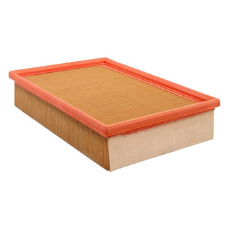 Baldwin Filters® - Panel Air Filter