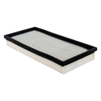 Baldwin Filters® - Radial Seal Air Filter