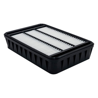 Baldwin Filters® - Radial Seal Air Filter