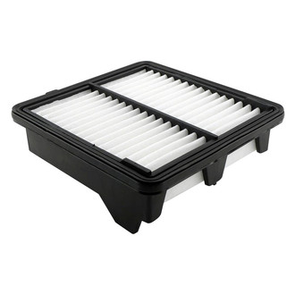 Baldwin Filters® - Radial Seal Air Filter