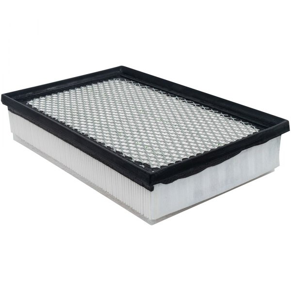 Baldwin Filters® - Air Filter Element with Foam Pad