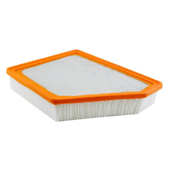 Baldwin Filters® - Radial Seal Air Filter