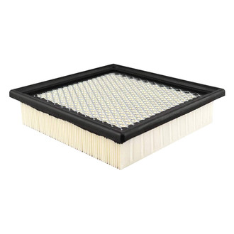 Baldwin Filters® - Radial Seal Air Filter