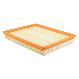 Baldwin Filters® - Channel Flow Primary Air Filter Element