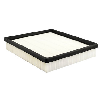 Baldwin Filters® - Radial Seal Air Filter