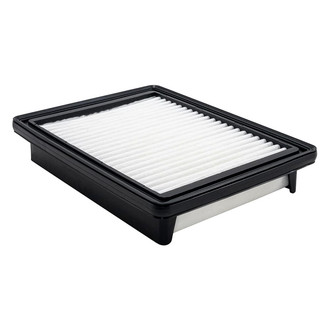 Baldwin Filters® - Channel Flow Primary Air Filter Element