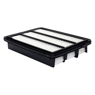 Baldwin Filters® - Radial Seal Air Filter