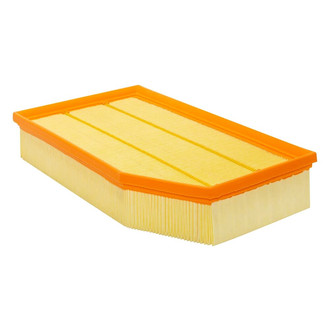 Baldwin Filters® - Channel Flow Primary Air Filter Element