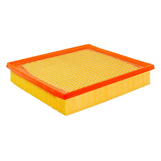 Baldwin Filters® - Channel Flow Primary Air Filter Element