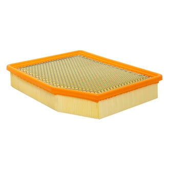 Baldwin Filters® - Channel Flow Primary Air Filter Element
