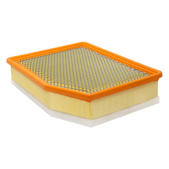 Baldwin Filters® - Radial Seal Air Filter
