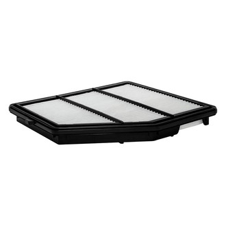 Baldwin Filters® - Radial Seal Air Filter