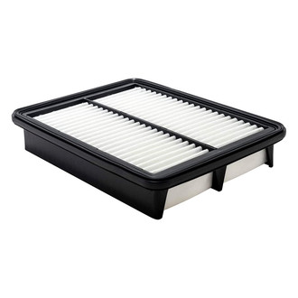 Baldwin Filters® - Channel Flow Primary Air Filter Element