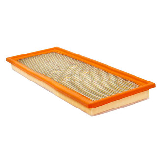 Baldwin Filters® - Air Filter Element