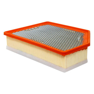 Baldwin Filters® - Radial Seal Air Filter