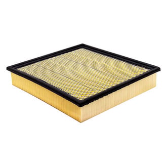 Baldwin Filters® - Radial Seal Air Filter