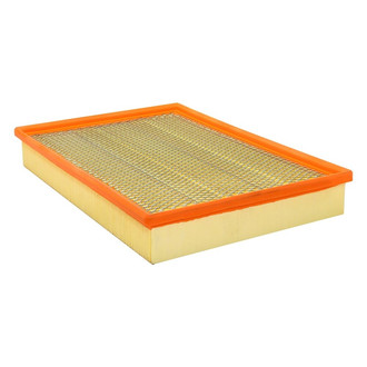 Baldwin Filters® - Air Filter Element