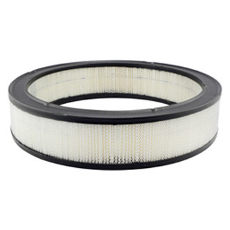 Baldwin Filters® - Air Filter Element