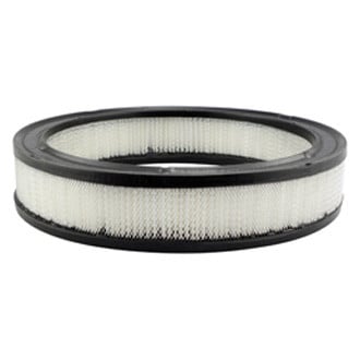 Baldwin Filters® - Air Filter Element