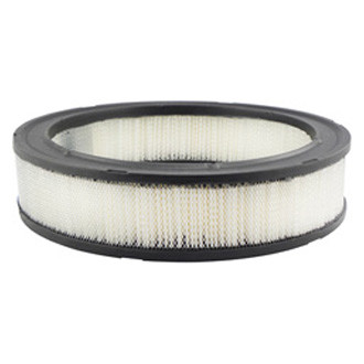 Baldwin Filters® - Air Filter Element