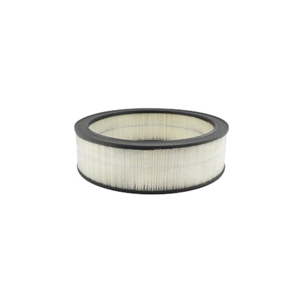 Baldwin Filters® - Air Filter Element