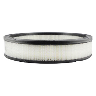 Baldwin Filters® - Air Filter Element