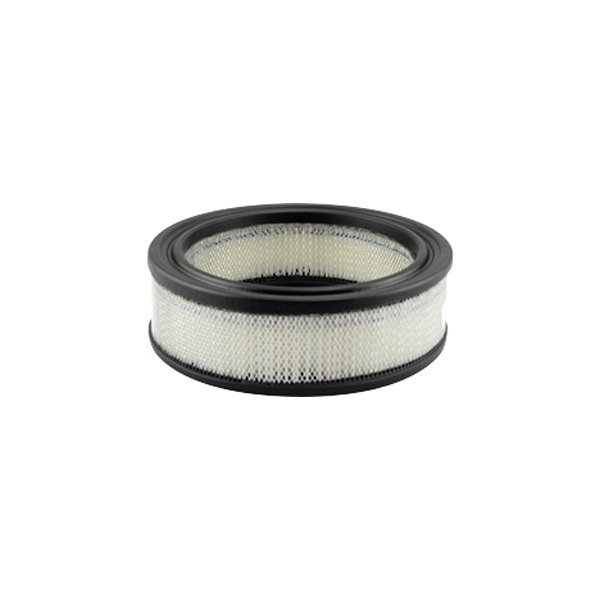 Baldwin Filters® PA2050 Air Filter Element
