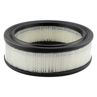 Baldwin Filters® - Air Filter Element