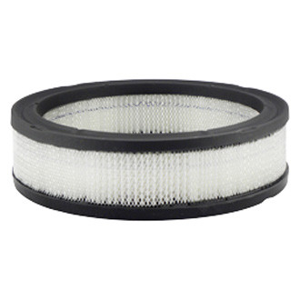 Baldwin Filters® - Air Filter Element