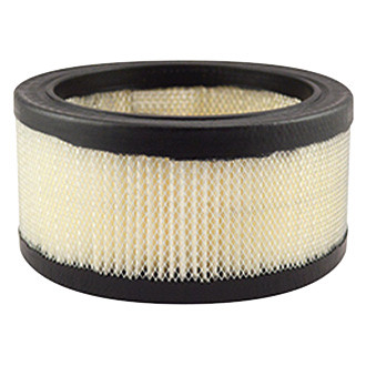Baldwin Filters® - Air Filter Element
