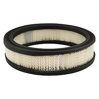 Baldwin Filters® - Air Filter Element