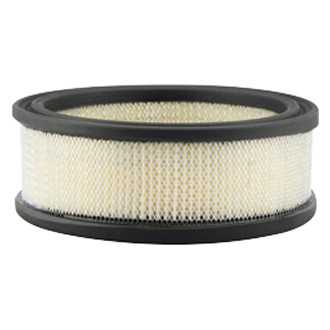 Baldwin Filters® - Air Filter Element