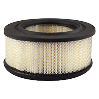 Baldwin Filters® - Air Filter Element