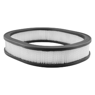 Baldwin Filters® - Oblong Air Filter Element