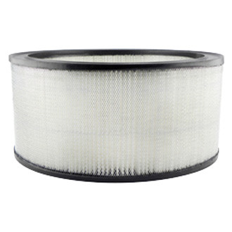 Baldwin Filters® - Air Filter Element
