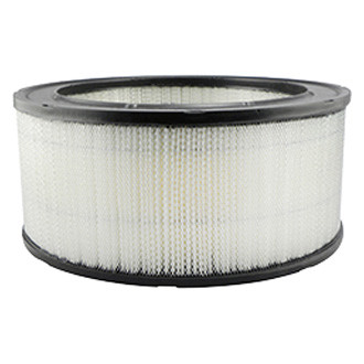Baldwin Filters® - Air Filter Element