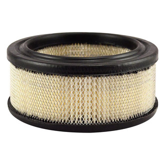 Baldwin Filters® - Radial Seal Air Filter